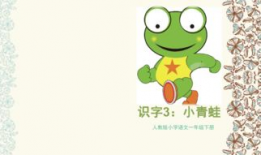 91小青蛙在哪直播,探寻直播间的魅力所在